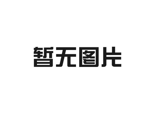 椎体球囊